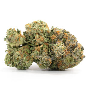 Critical kush - THC: 18%