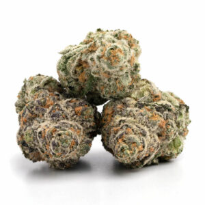 Gelato - THC: 21%