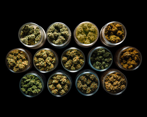 acheter du cannabis